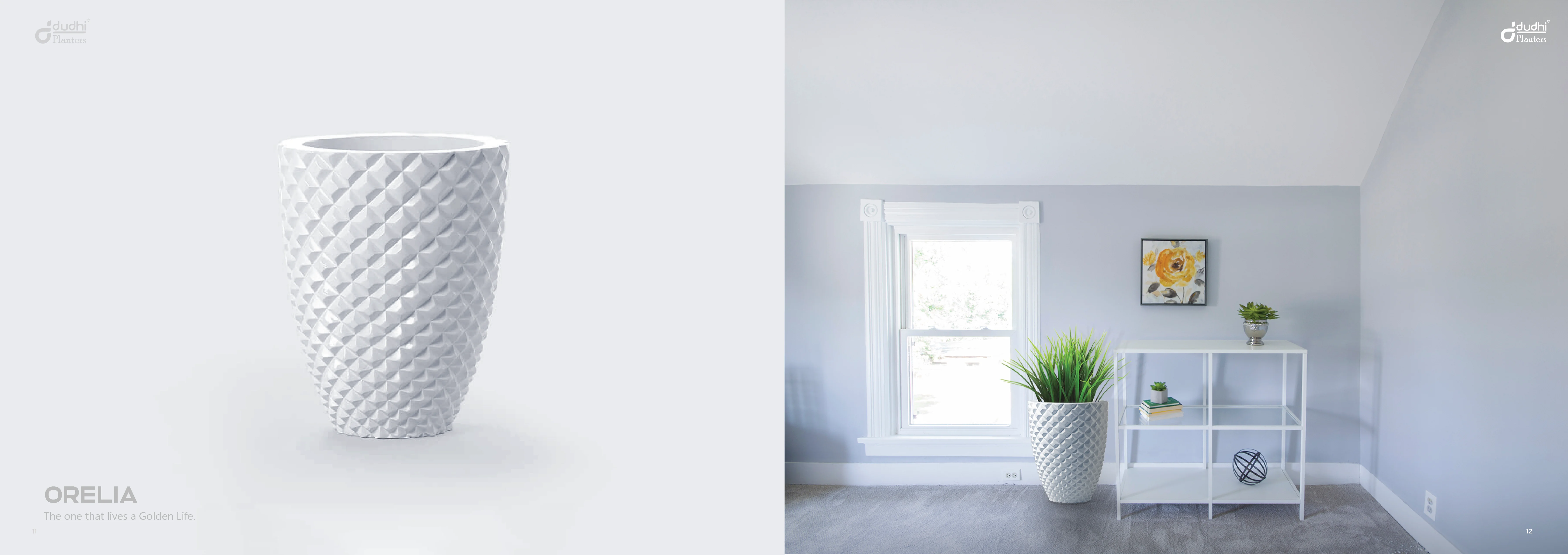 Dudhi Planters catalogue spread 07.