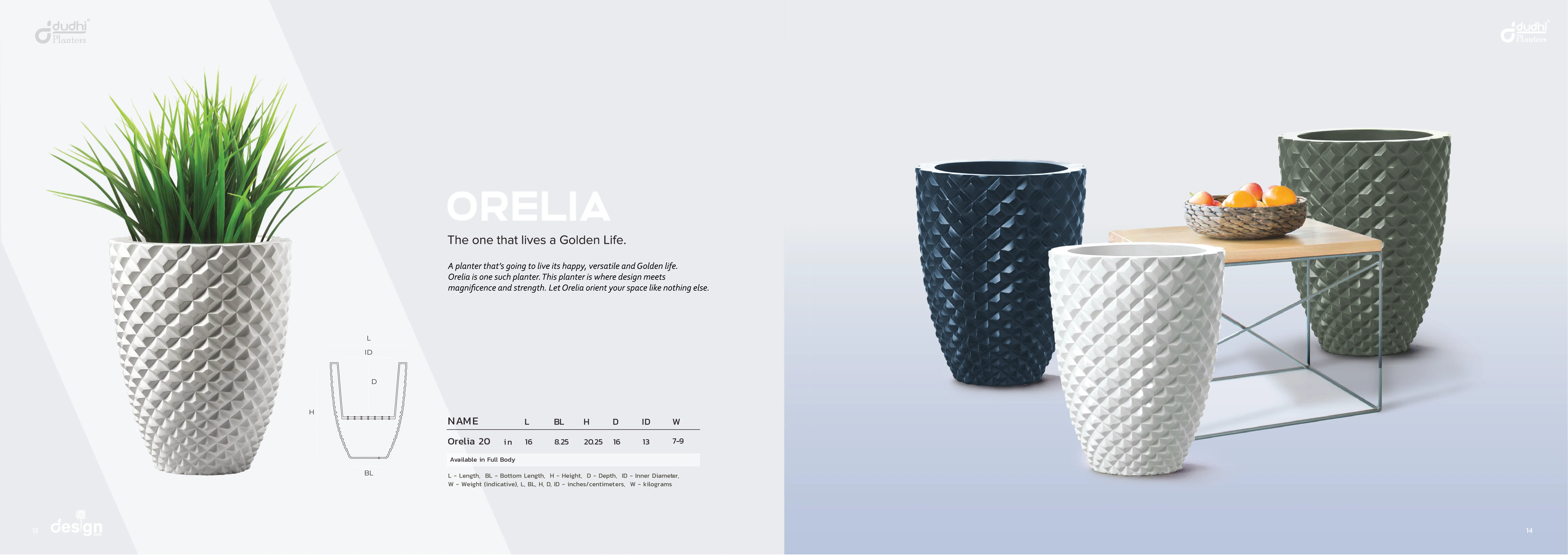 Dudhi Planters catalogue spread 08.