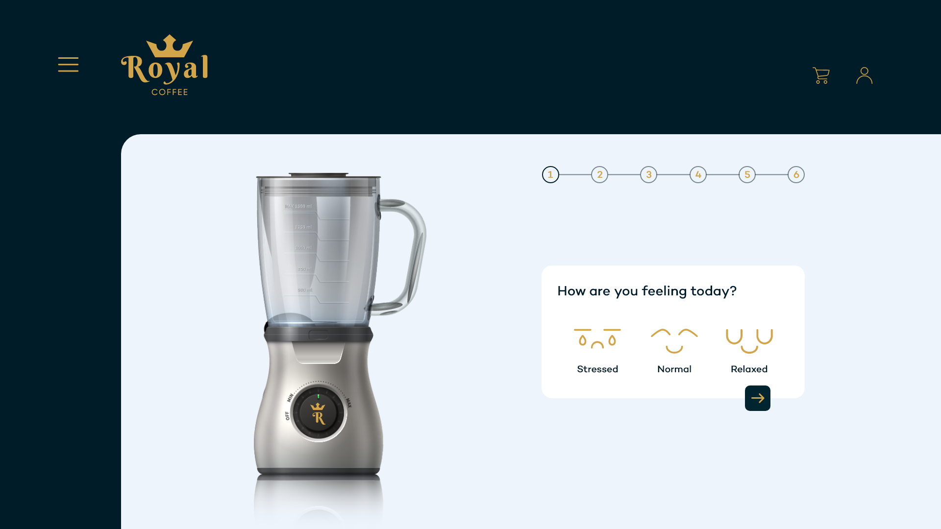 High-fidelity concept screen asking the customer how they are feeling today.
